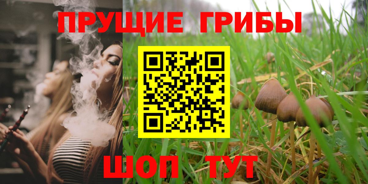Советский  Псилоцибиновые грибы MAGIC MUSHROOMS  Вход с VPN 